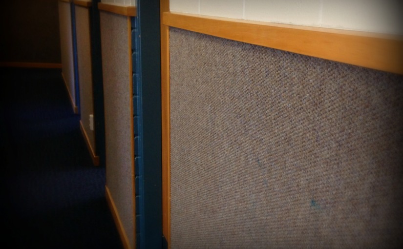 Carpet Cleaners Mistakenly Wash Meetinghouse Walls